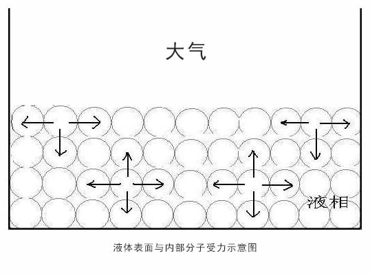 液體分子受力 (1)